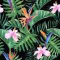 Tropical watercolor pattern with palm leaves and hibiscus and Sterlite flowers on a black background. Royalty Free Stock Photo