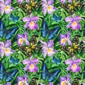 Tropical watercolor plants. Trendy seamless floral pattern, butterflies, flower and palm leaves