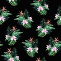 Tropical watercolor seamless pattern with exotic bouquets on black background. Royalty Free Stock Photo