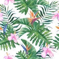 Tropical watercolor seamless pattern with flowers and leaves on white background. Royalty Free Stock Photo