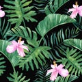 Tropical watercolor seamless pattern with hibiscus flowers and palm leaves on a black background. Royalty Free Stock Photo