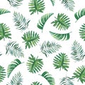 Tropical watercolor seamless pattern with leaves on white background. Royalty Free Stock Photo