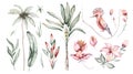 Tropical watercolor set birds hummingbird, monkey and jaguar, exotic jungle plants palm banana leaves flowers, flamingo pastel Royalty Free Stock Photo