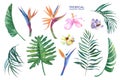 Tropical watercolor set of flowers and leaves on a white background. Royalty Free Stock Photo