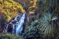 Tropical waterfall on Hawaii tropical island in jungle forest. Royalty Free Stock Photo