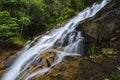 Tropical waterfall in lush surrounded by green forest