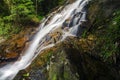 Tropical waterfall in lush surrounded by green forest