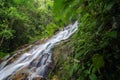 Tropical waterfall in lush surrounded by green forest