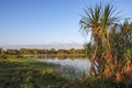 Tropical wetland with paperbark Melaleuca reflected in water, Darwin, Australia Royalty Free Stock Photo