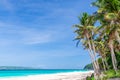 Tropical white beach view and palm trees with turquoise sea