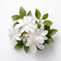 Tropical White Flower Arrangement: A Delicate And Detailed Creation