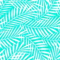 Tropical white and green palm tree leaves seamless pattern