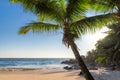 Sunset at tropical sandy beach with coco palms and turquoise sea Royalty Free Stock Photo