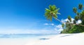 Tropical White Sand Beach Royalty Free Stock Photo