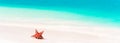 Tropical white sand with red starfish in clear water Royalty Free Stock Photo