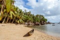 Tropical wild beach