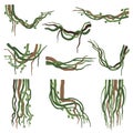 Tropical Winding Liana Branches Set, Jungle Plants Decorative Elements, Rainforest Flora Vector Illustration