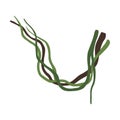 Tropical Winding Liana Branches, Vines, Jungle Plant Decorative Element, Rainforest Flora Vector Illustration