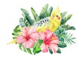 Tropical yellow Bird, hibiscus flowers, leaves watercolor drawing illustration. Exotic wildlife design. Floral clipart