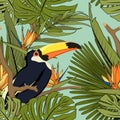 Tropical yellow black toucan, exotic palm monstera green leaves, orange blue bird of paradise floral seamless pattern. Royalty Free Stock Photo