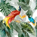 Tropicbirds and leaves watercolor seamless pattern