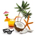 Tropicl summer Royalty Free Stock Photo