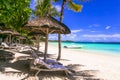 tropics destination . Exotic tropical beach scenery. Mauritius island, belle mare beach Royalty Free Stock Photo