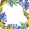 Tropics leaves frame in a watercolor style. Royalty Free Stock Photo