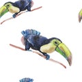 Tropics exotic pattern seamless toucan bird sitting on a branch separate print textile twigs color watercolor hand drawn sketch