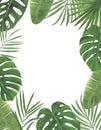 Tropics Watercolor illustrations Botanical decorations Decoration Postcard Invitation design decoration congratul