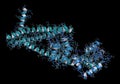 Troponin, 3D rendering: structure of the human cardiac troponin core domain. Composed of three subunits (C, T and I). Combined