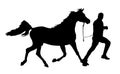 Running horse silhouette 