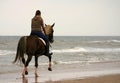 Trotting on the beach Royalty Free Stock Photo