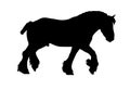 Running Draft Horse silhouette Royalty Free Stock Photo