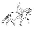 Trotting dressage horse ~