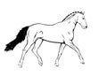 Running horse outline vector ~