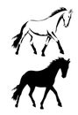 Trotting horse set vector ~ Royalty Free Stock Photo