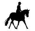 Horse and rider silhouette Royalty Free Stock Photo