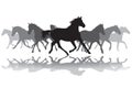 Trotting horses silhouette background illustration Royalty Free Stock Photo