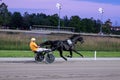 Trotting racehorses and rider on a stadium track.Horse running on the track with the rider at sunset.