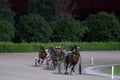 Trotting racehorses and rider on a stadium track.