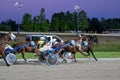 Trotting racehorses and rider on a stadium track.Horse running on the track with the rider at sunset.