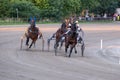 Trotting racehorses and rider on a stadium track.Horse running on the track with the rider at sunset.