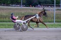 Trotting racehorses and rider on a stadium track.Horse running on the track with the rider at sunset.