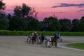 Trotting racehorses and rider on a stadium track.Horse running on the track with the rider at sunset.