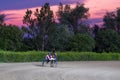 Trotting racehorses and rider on a stadium track.Horse running on the track with the rider at sunset.