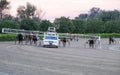 Trotting racehorses and rider on a stadium track.