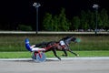 Trotting racehorses and rider on a stadium track.