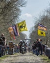 The Peloton in The Forest of Arenberg- Paris Roubaix 2015