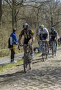 Three Cyclists in The Forest of Arenberg- Paris Roubaix 2015